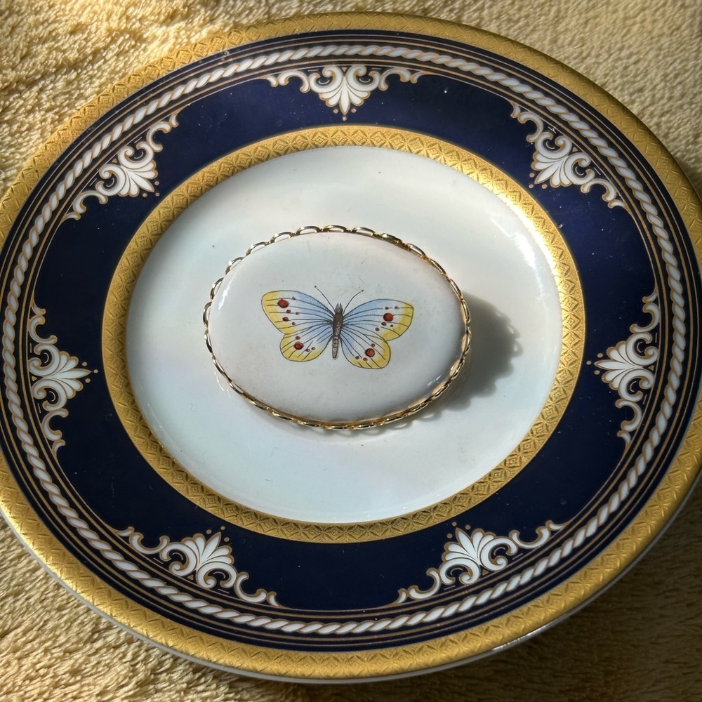 Vintage Porcelain Butterfly Cameo Brooch